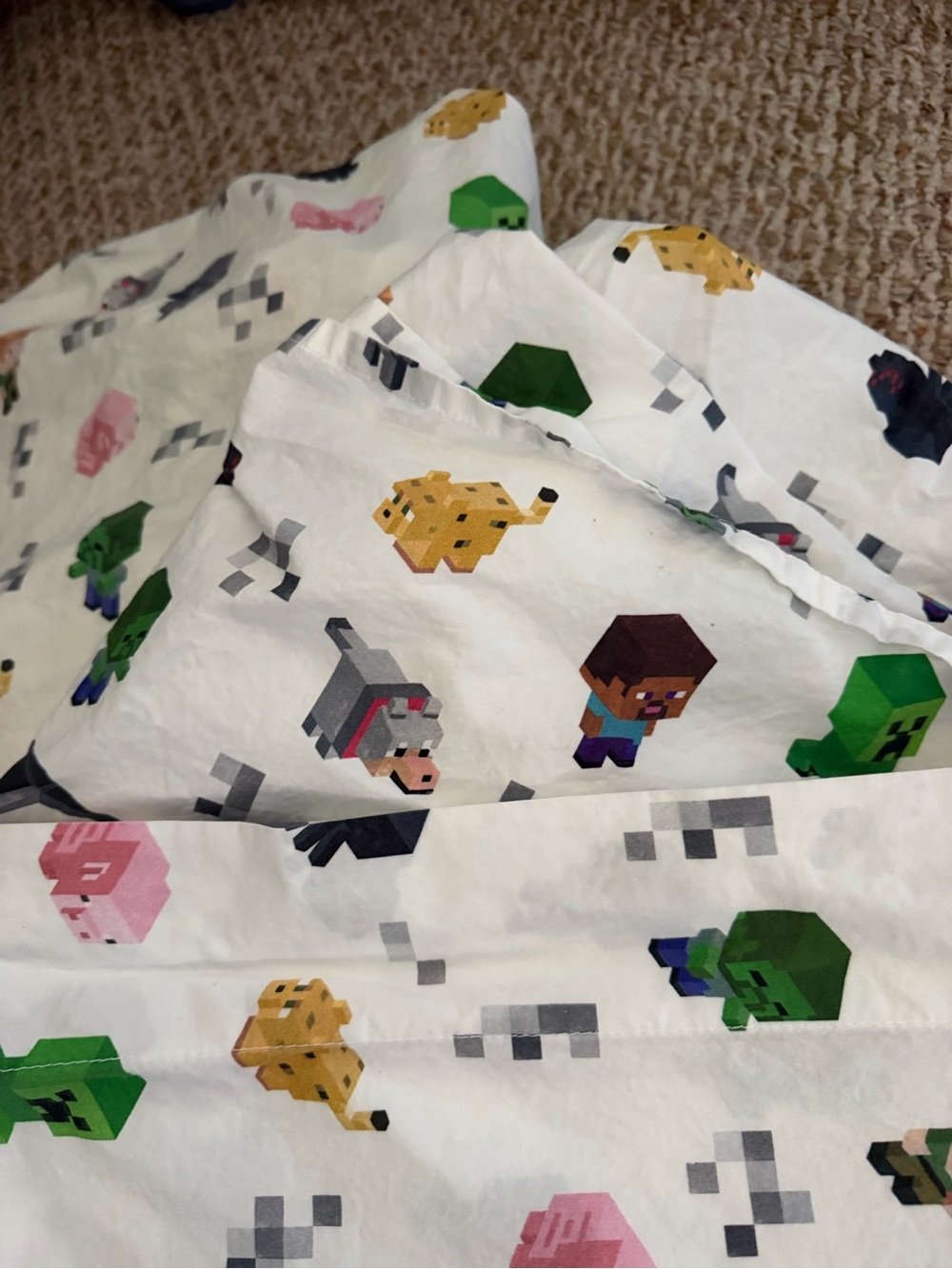 EUC Pottery Barn Kids Minecraft Organic Sheet Set Twin - Picture 8 of 9